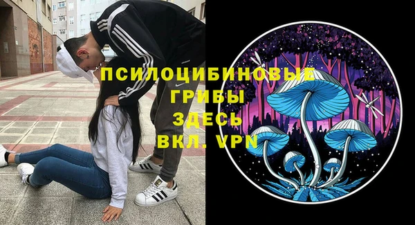 сатива Бронницы