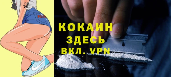 сатива Бронницы