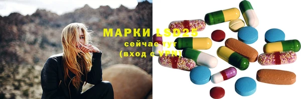 сатива Бронницы