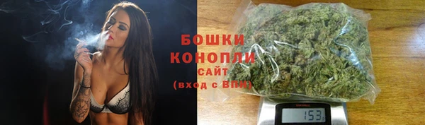 сатива Бронницы