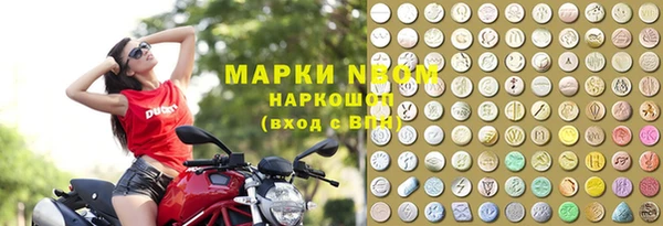 сатива Бронницы