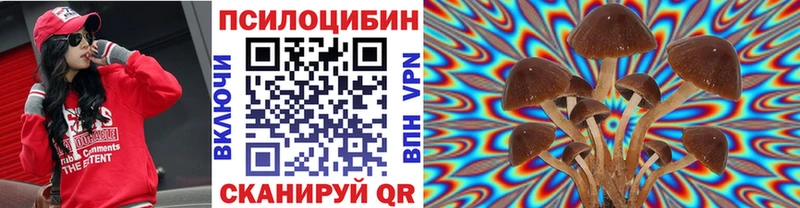 Галлюциногенные грибы Psilocybine cubensis  omg как зайти  Чебоксары 