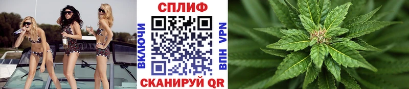 Конопля VHQ  Чебоксары 